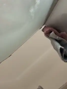 gatitalocahot online show from December 17, 2025, 8:04 pm