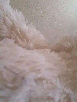 Bruninhadeusa online show from December 19, 2025, 10:33 am