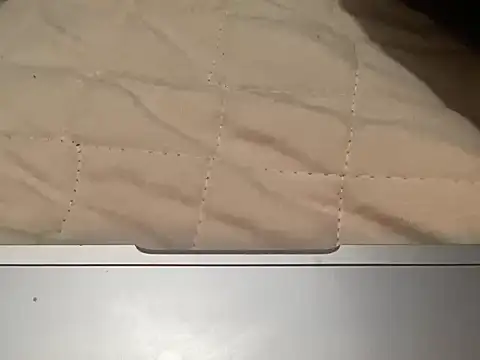 zorritaricapa69 online show from April 18, 2026, 5:55 am