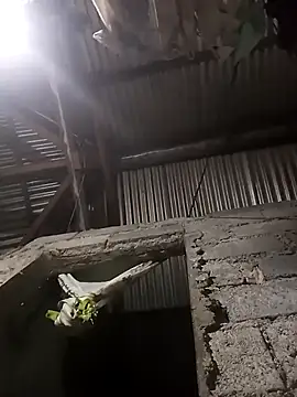 angel maria123 online show from February 18, 2026, 8:21 am