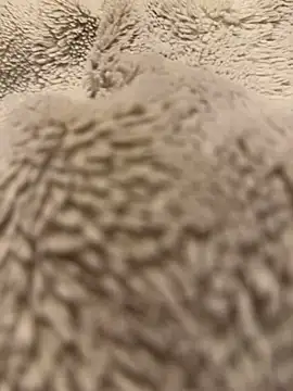 Snapshot of Jackoff2345 chatting on February 18, 2026, 5:25 am Jackoff2345 online show from February 18, 2026, 5:25 am