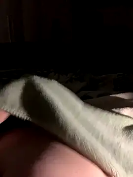 bfelipedasilva online show from October 28, 2025, 1:31 am