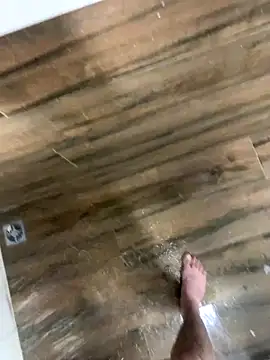 bfelipedasilva online show from December 4, 2025, 9:56 pm