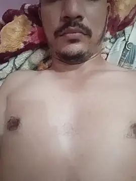 indoregigolo online show from November 14, 2025, 8:57 am