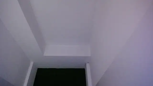 velvetvixen t online show from December 20, 2025, 12:12 pm