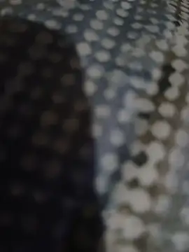 Piope1984 online show from October 28, 2025, 9:17 pm