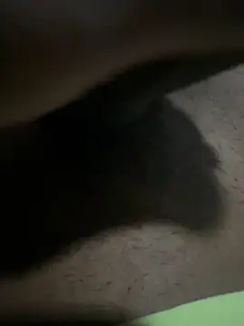 vijay20k online show from January 7, 2026, 12:57 am