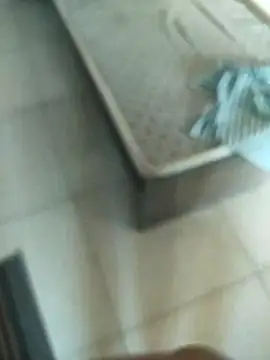 Telugus online show from November 7, 2025, 7:08 am