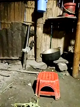 Snapshot of doggy-00 chatting on July 30, 2026, 10:20 pm doggy-00 online show from July 30, 2026, 10:20 pm