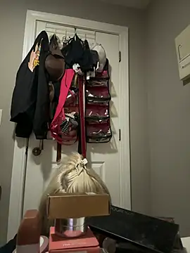 Snapshot of SilverSeductress chatting on January 12, 2026, 10:42 am SilverSeductress online show from January 12, 2026, 10:42 am