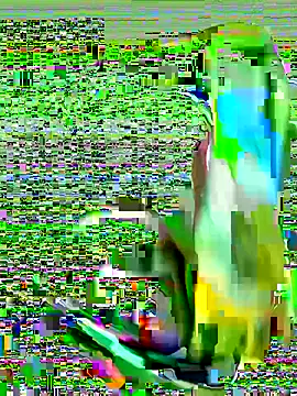 cchairez1188 online show from October 29, 2025, 9:38 pm