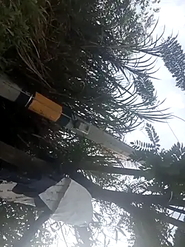 Camila-Valverde online show from January 31, 2026, 8:51 pm