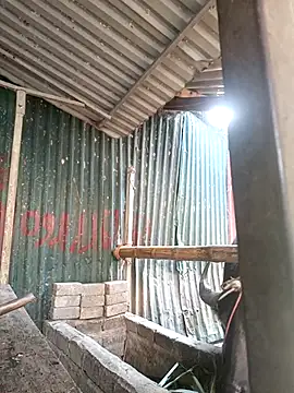 yoyo-mi online show from November 27, 2025, 12:56 am