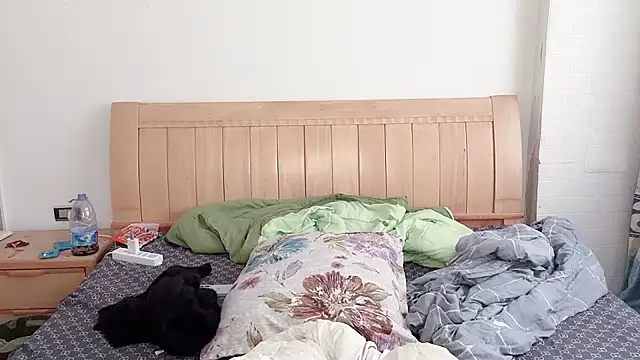 N228 online show from December 5, 2025, 6:55 am