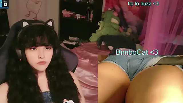 BimboCat online show from June 23, 2026, 6:50 pm