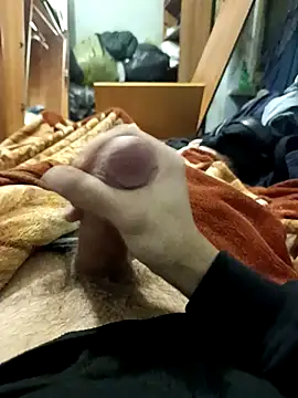 KaTorino online show from February 3, 2026, 11:21 pm