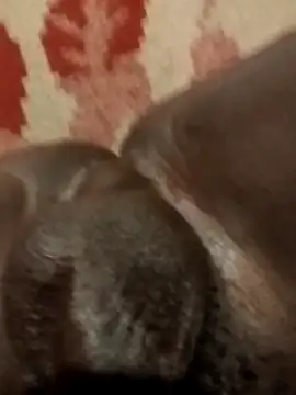 Reajune2001 online show from April 20, 2026, 2:09 pm