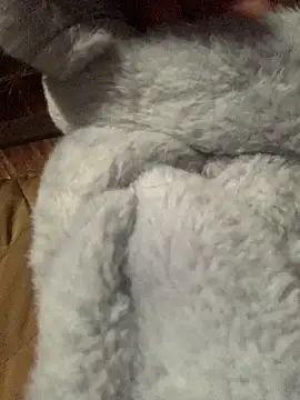 bi-bo123 online show from January 8, 2026, 1:19 am