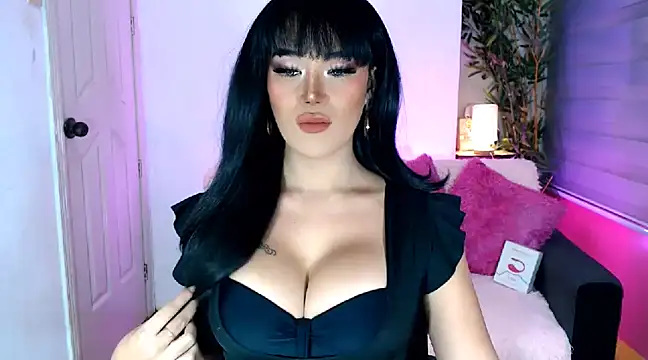 transSTARprincess online show from December 4, 2024, 6:39 pm