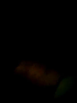 Yerackhip online show from March 9, 2026, 12:47 am