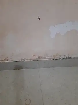 Madhubala singh online show from March 18, 2026, 2:37 am