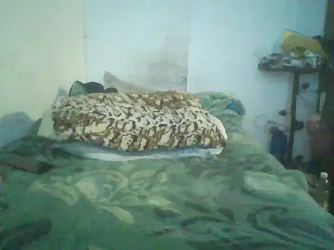 Snapshot of GuilleHotsexy chatting on November 11, 2025, 1:00 pm GuilleHotsexy online show from November 11, 2025, 1:00 pm