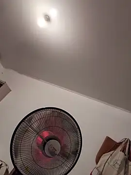 Snapshot of RebelAura chatting on December 20, 2025, 9:22 pm RebelAura online show from December 20, 2025, 9:22 pm