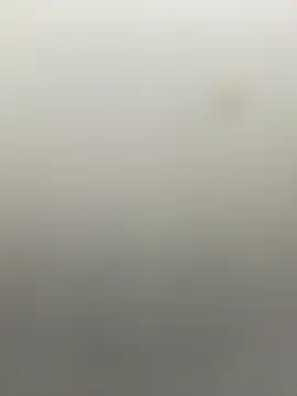 B meliodas online show from November 4, 2025, 8:08 pm