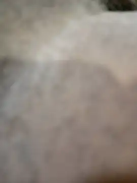 Telonet online show from April 19, 2026, 10:14 am