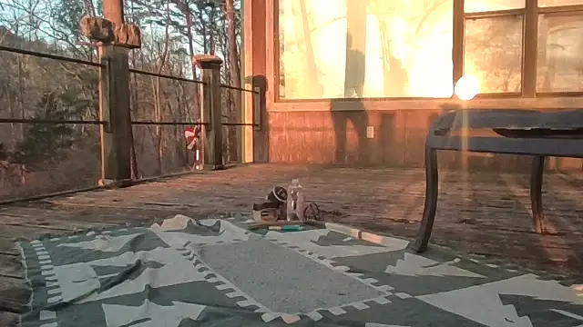 2099RivenXXX online show from February 28, 2026, 11:50 pm