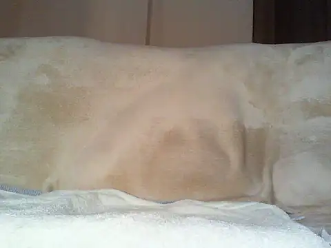 Cumlover5534 online show from March 2, 2026, 9:38 am