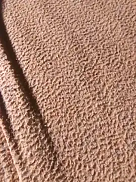 WillfulVideo online show from February 7, 2026, 8:07 am