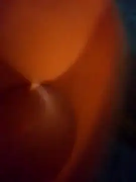 WillfulVideo online show from March 24, 2026, 8:08 am