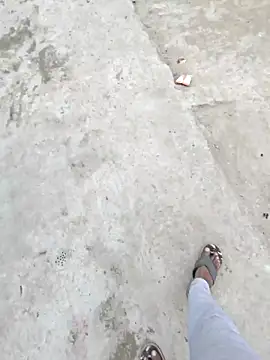 Pagalladka-89 online show from December 1, 2025, 6:51 am