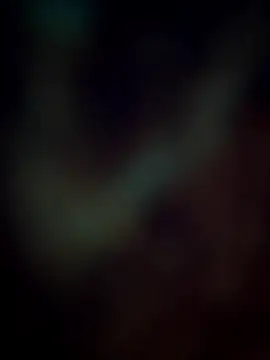 Pagalladka-89 online show from December 21, 2025, 10:33 am