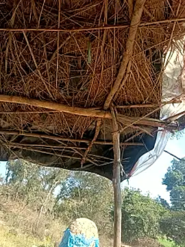 Hina sex online show from December 18, 2025, 6:41 am