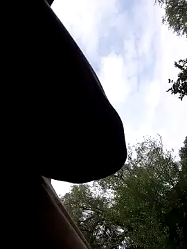 Mc02 online show from November 11, 2025, 12:38 pm