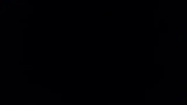 Brandy collinss online show from February 8, 2026, 11:46 am