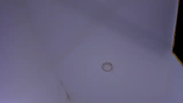 tiven-prince online show from January 10, 2026, 7:48 pm