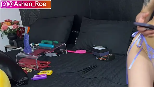 Snapshot of AshenRoe chatting on April 30, 2026, 6:20 am AshenRoe online show from April 30, 2026, 6:20 am