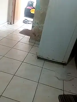 Snapshot of sthefanyy_2025 chatting on November 14, 2025, 11:20 am sthefanyy 2025 online show from November 14, 2025, 11:20 am