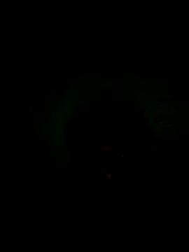 56849 online show from November 16, 2025, 6:19 am