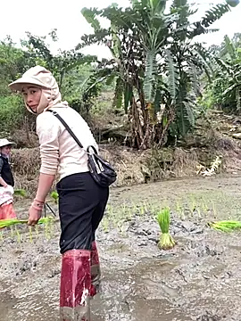 Snapshot of pitty_mymi chatting on March 12, 2026, 8:31 am pitty mymi online show from March 12, 2026, 8:31 am