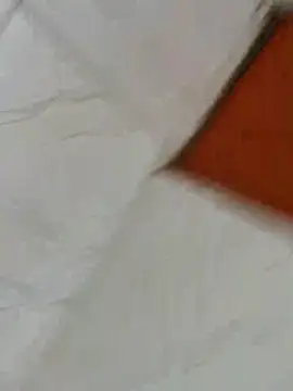 sucre69pb online show from December 17, 2025, 1:17 pm