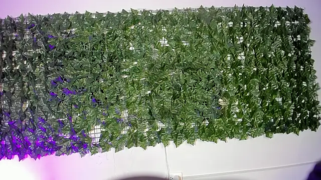 LiilithStonne online show from March 16, 2026, 12:53 pm