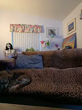 tsashelayamylynzy online show from November 18, 2025, 12:38 am