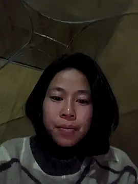 Cat-meow online show from November 29, 2025, 2:31 pm