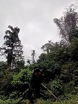 meomeo-00 online show from March 18, 2026, 8:06 am