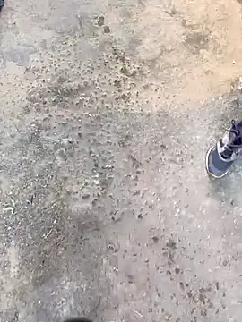 Playboy pune  online show from November 19, 2025, 10:04 am