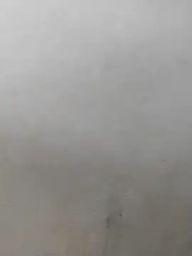 fpic online show from February 7, 2026, 4:22 pm